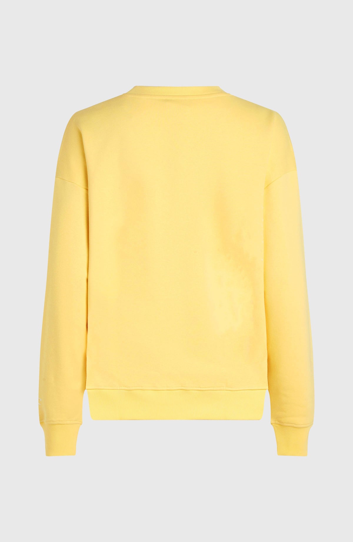 Future Surf Crew Sweatshirt - O'Neill Women