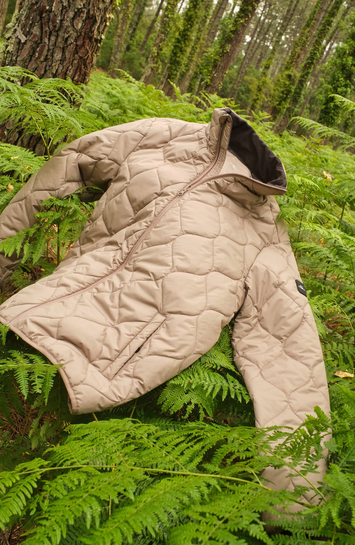 3-in-1 Parka 10K/10K Jacket - O'Neill Men