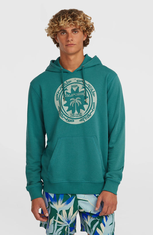 Must-Have Graphic Hoodie - O'Neill Men