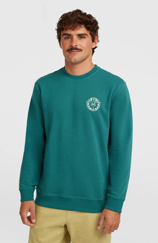 Must-Have Graphic Crew Sweatshirt - O'Neill Men