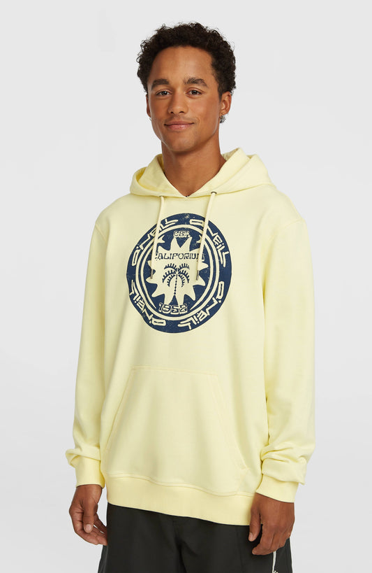 Must-Have Graphic Hoodie - O'Neill Men