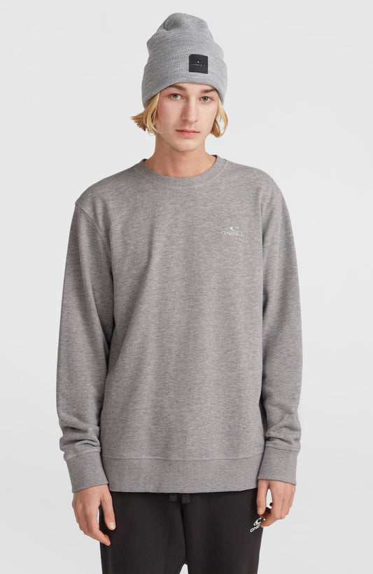 Small Logo Crew Sweatshirt - O'Neill Men