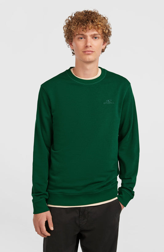 Small Logo Crew Sweatshirt - O'Neill Men
