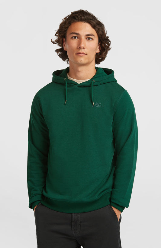 Small Logo Hoodie - O'Neill Men