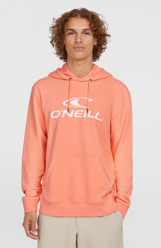 Logo Hoodie - O'Neill Men