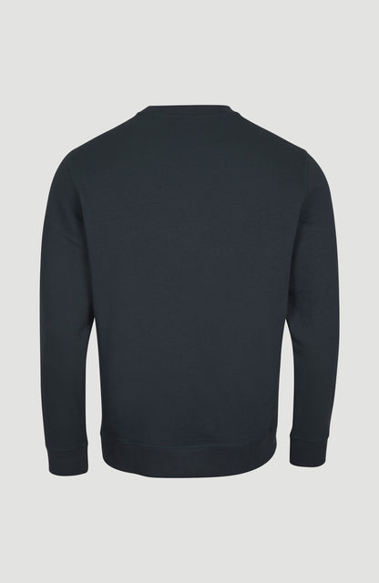 Logo Crew Sweatshirt - O'Neill Men