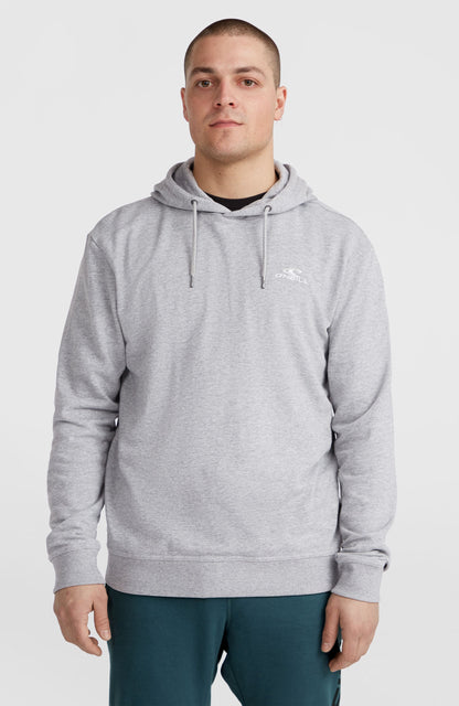 Small Logo Hoodie - O'Neill Men