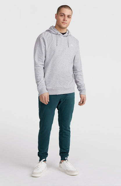 Small Logo Hoodie - O'Neill Men