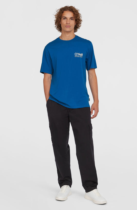 Essentials Cargo Pants - O'Neill Men