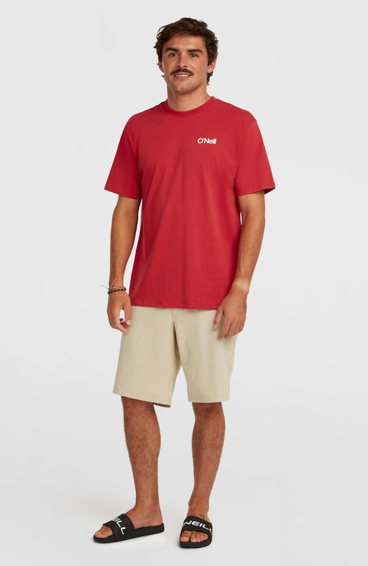 Hybrid 19" Melange Shorts - O'Neill Men