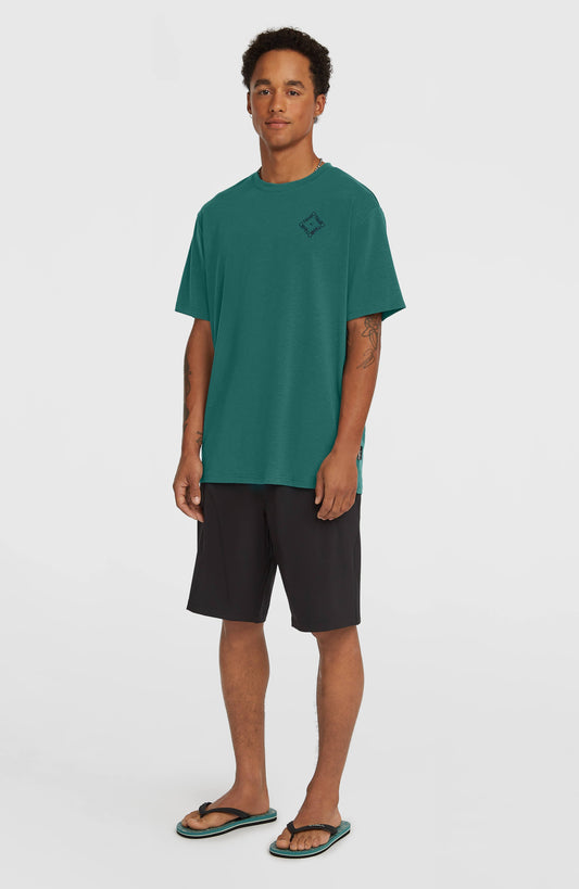 Hybrid 19" Shorts - O'Neill Men