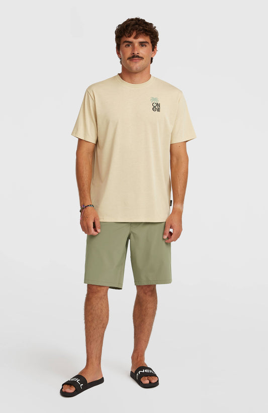Hybrid 19" Shorts - O'Neill Men