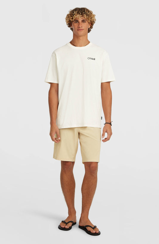 Hybrid 19" Shorts - O'Neill Men