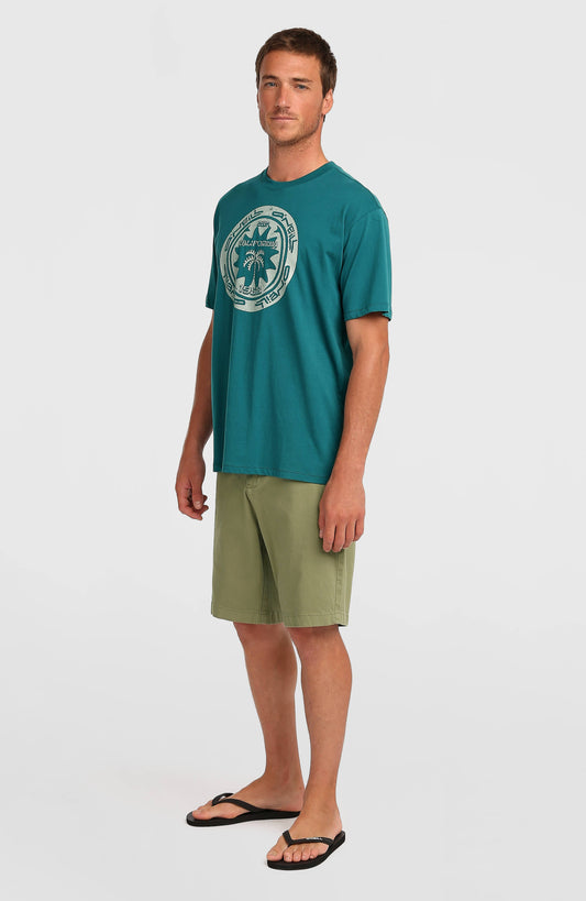 Essentials Chino Shorts - O'Neill Men