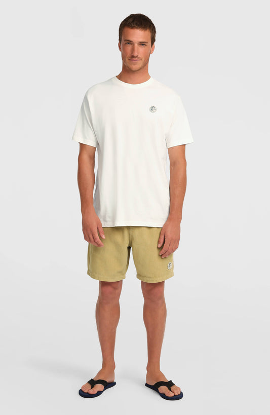 O'Riginals Cord Shorts - O'Neill Men