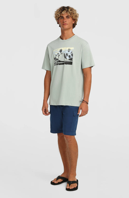 O’Neill Essentials Ripstop Cargo Shorts - O'Neill Men