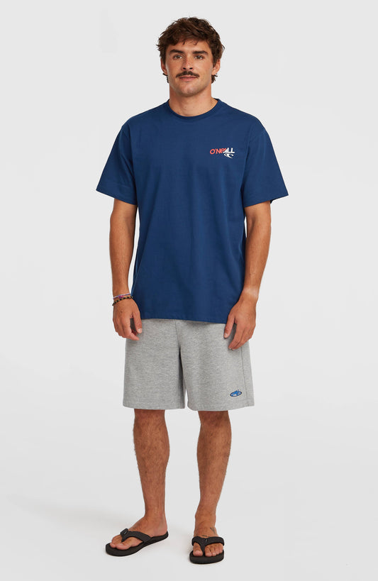Essentials 90s Sweatshorts - O'Neill Men