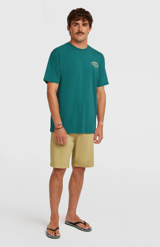 Essentials Chino Shorts - O'Neill Men
