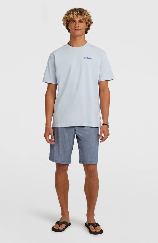 Hybrid 19" Melange Shorts - O'Neill Men