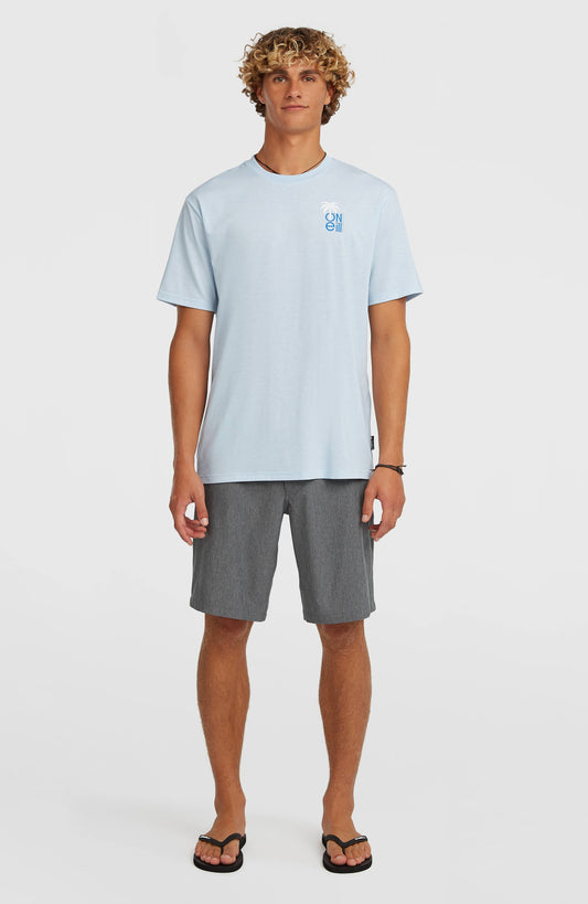 Hybrid 19" Melange Shorts - O'Neill Men