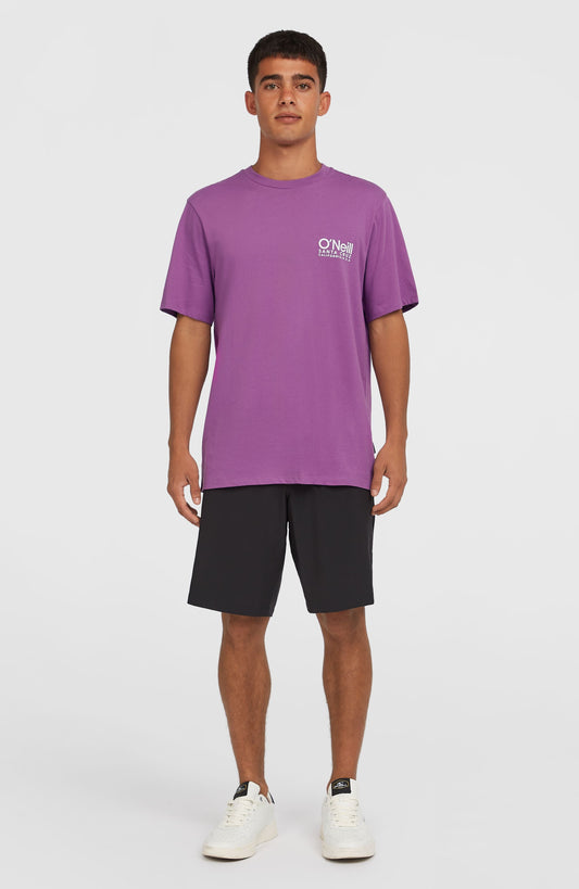 Hybrid Chino 19" Shorts - O'Neill Men