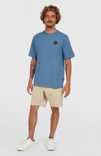 O'Riginals Walk Shorts - O'Neill Men
