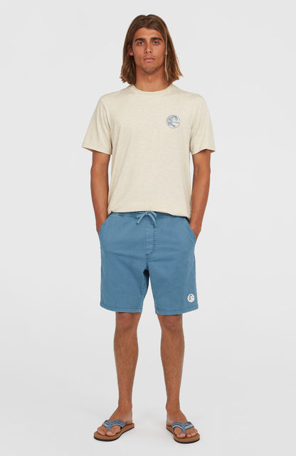 O'Riginals Walk Shorts - O'Neill Men