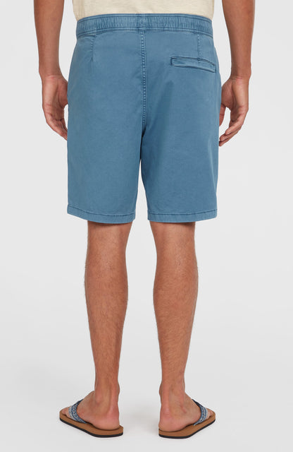 O'Riginals Walk Shorts - O'Neill Men