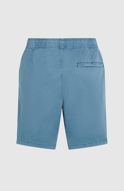 O'Riginals Walk Shorts - O'Neill Men