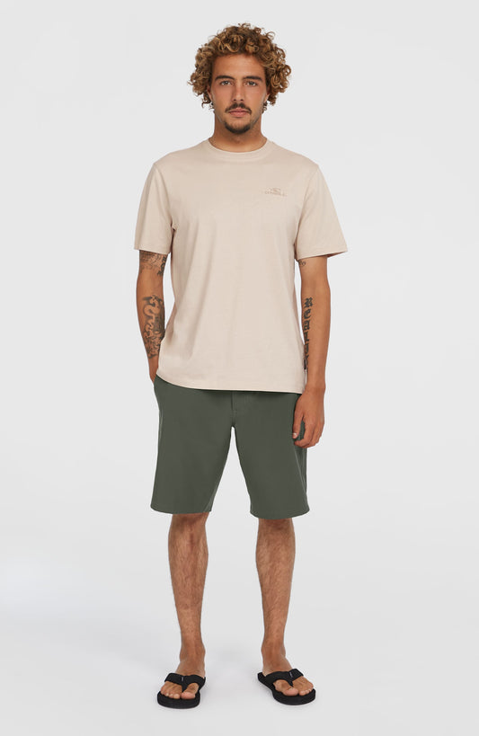 Hybrid Chino 19" Shorts - O'Neill Men