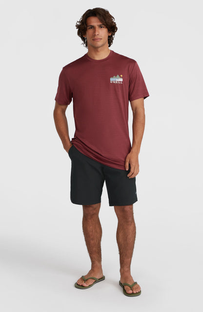 Hybrid Chino Shorts - O'Neill Men