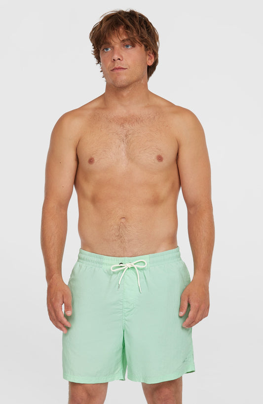 O’Neill Vert 16'' Swim Shorts - O'Neill Men