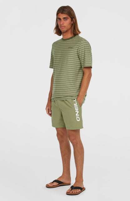 Cali 16'' Swim Shorts - O'Neill Men