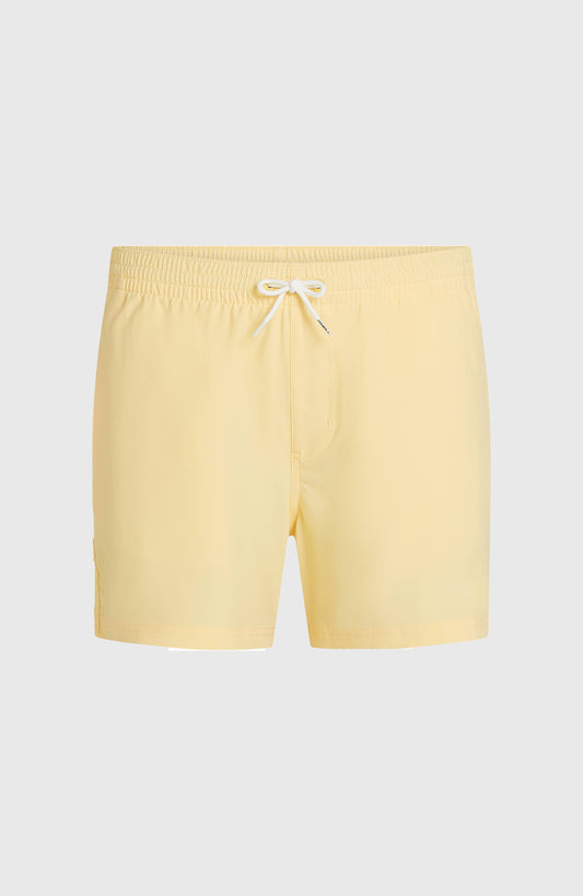 15" Swimshorts - O'Neill Men