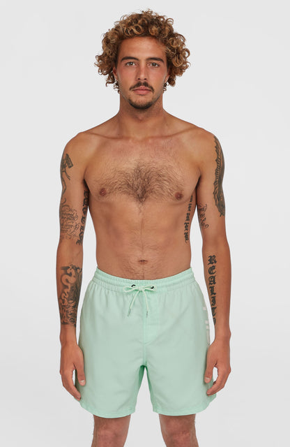 Cali 16'' Swim Shorts - O'Neill Men