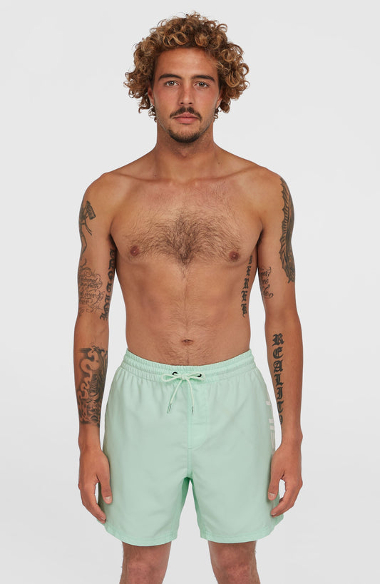Cali 16'' Swim Shorts - O'Neill Men