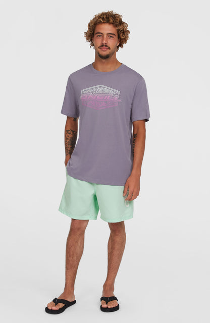 Cali 16'' Swim Shorts - O'Neill Men