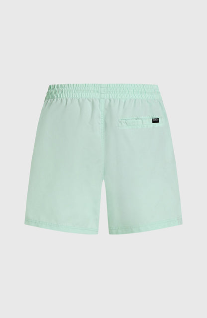 Cali 16'' Swim Shorts - O'Neill Men