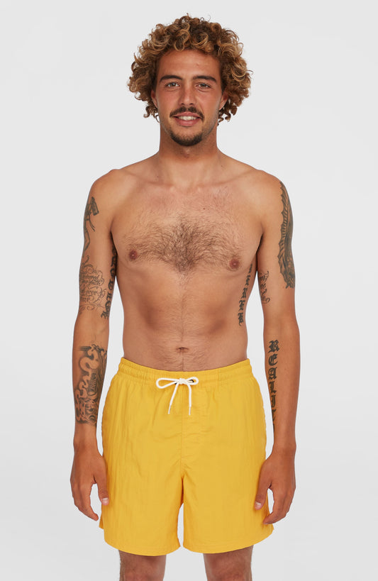 O’Neill Vert 16'' Swim Shorts - O'Neill Men