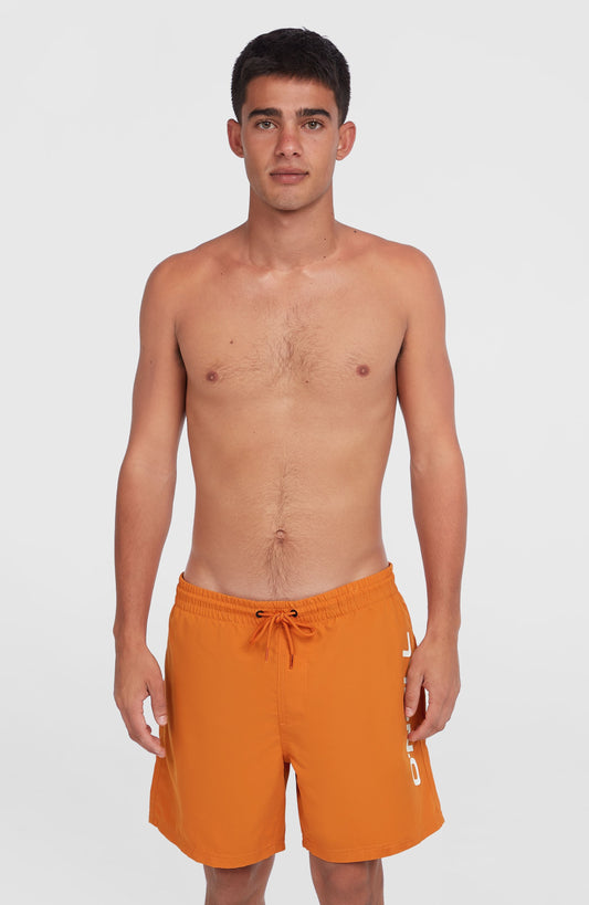 Cali 16'' Swim Shorts - O'Neill Men