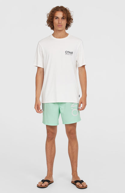 Original Cali 16'' Swim Shorts - O'Neill Men