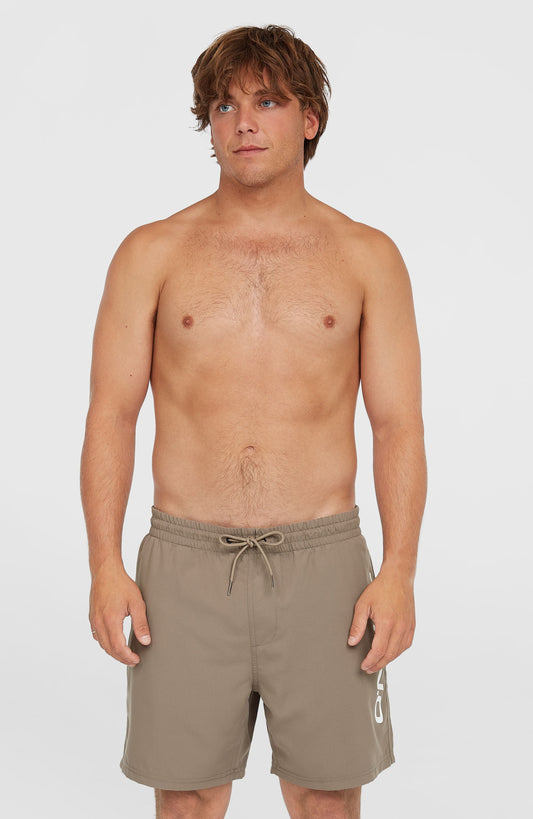 Cali 16'' Swim Shorts - O'Neill Men