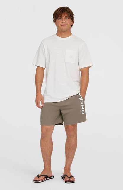 Cali 16'' Swim Shorts - O'Neill Men