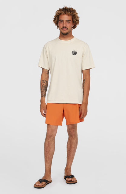 O'Riginals Cali Ocean 16'' Swim Shorts - O'Neill Men