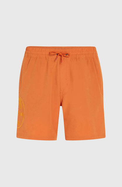 O'Riginals Cali Ocean 16'' Swim Shorts - O'Neill Men