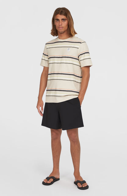 O'Riginals Cali Ocean 16'' Swim Shorts - O'Neill Men