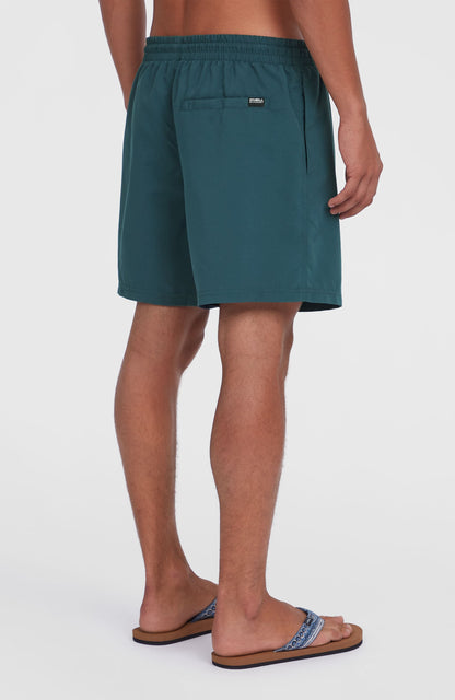 Cali 16'' Swim Shorts - O'Neill Men