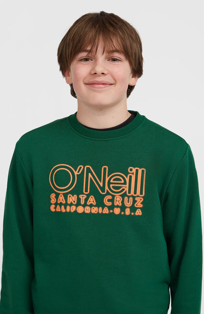 Essentials Crew Sweatshirt - O'Neill Kids
