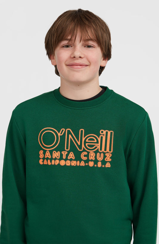 Essentials Crew Sweatshirt - O'Neill Kids