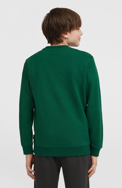Essentials Crew Sweatshirt - O'Neill Kids